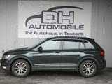 Volkswagen Tiguan Automatik 4-Motion Navi Kamera AHK - : Grün, Allradantrieb