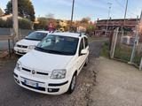 Fiat Panda 1.2 Emotion EURO5 NEOPATENTATI - Fiat Panda: Emotion