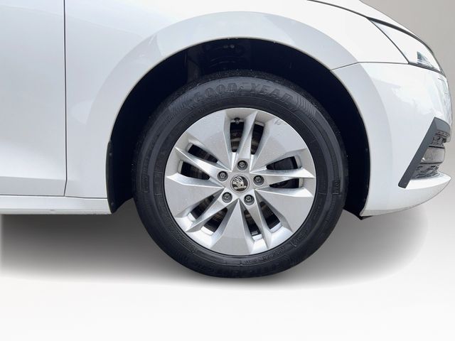 Octavia Combi 2.0 TDI DPF Ambition 4x4, Reise Pa