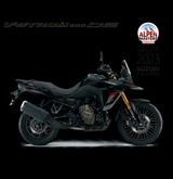 Suzuki DL 800 DE - SUZUKI ENDURO