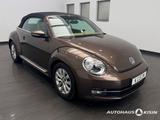 Volkswagen Beetle Cabriolet 1.6TDI 5-Gang Design BMT /Navi  - Volkswagen Beetle: TDI