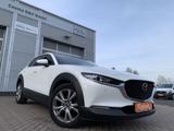 Mazda CX-30 SKYACTIV 2WD HUD+Navi+LED+Winterpaket+ACC - Mazda CX-30 Gebrauchtwagen
