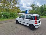Fiat Panda II (169) 1.2L 8V (69 PS) 2012 DYNAMIC - Fiat Unfallwagen