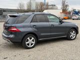 Mercedes-Benz ML 250 BlueTEC 4MATIC - Mercedes-Benz ML 250 mit Diesel-Antrieb: Geländewagen