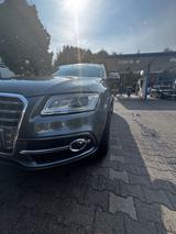 Audi SQ5 3.0 TDI competition tiptronic quattro - - Audi SQ5 in Gelsenkirchen