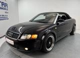 Audi A4 2.5TDI V6 Cabriolet BOSE NAVI MMI XENON AHK - Audi A4 aus 2005: Cabrio