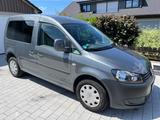 Volkswagen Caddy 1,6TDI 75kW Startline 5-Sitzer Startline - Volkswagen Caddy: Startline