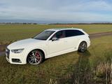 Audi S4 3.0 TFSI tiptronic quattro Avant - - Audi S4 mit Benzin-Antrieb: Kombi