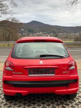 Peugeot 206 + Basis - Peugeot 206: Rot