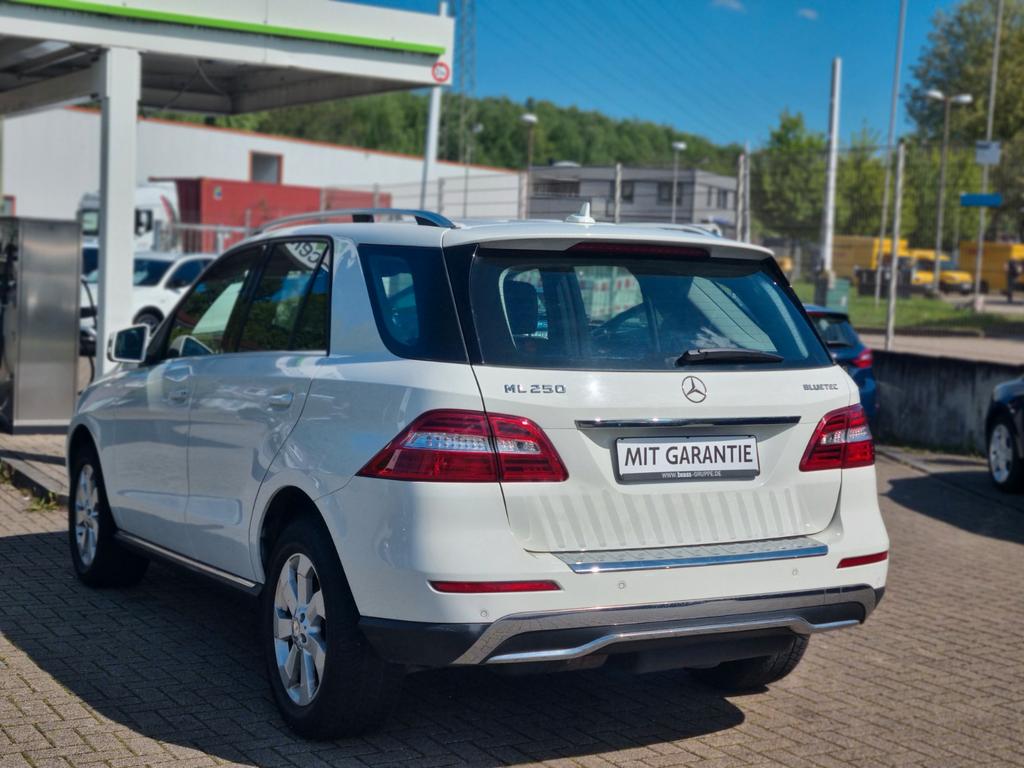 Mercedes-Benz ML 250