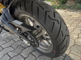 Ducati Top gepflegte Multistrada 950 mit viel Zubehör - DUCATI MULTISTRADA 950