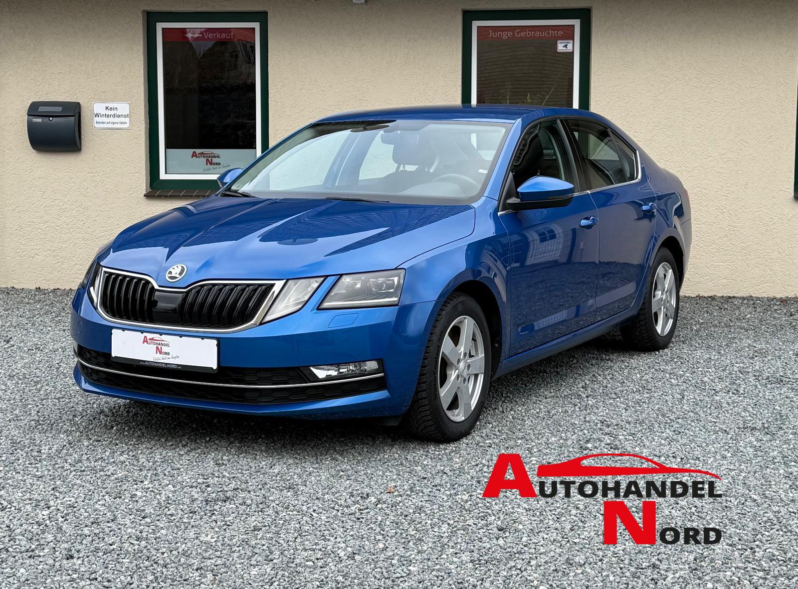 Skoda Octavia Automatik Style PDC Carplay Android Navi