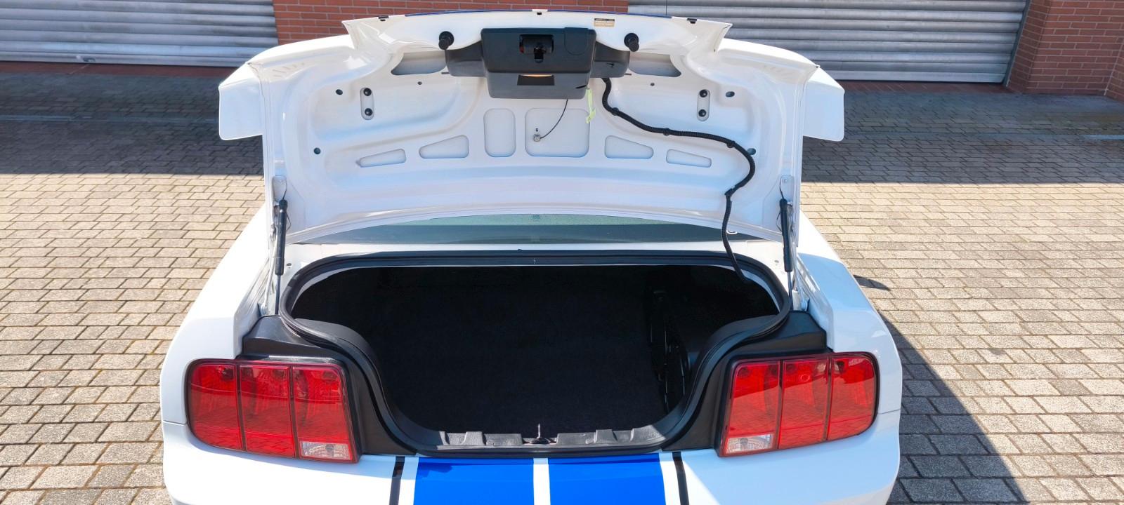 Ford Mustang Shelby GT500 5.4l V8 SVT