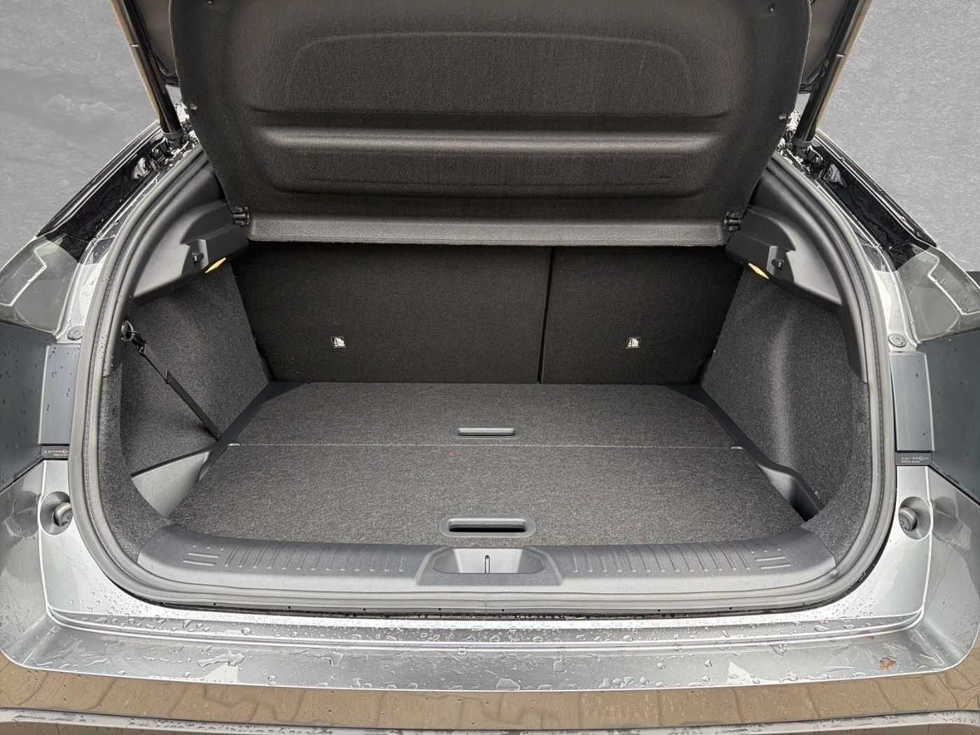 Nissan Leaf - Bild 15