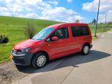 Volkswagen VW Caddy 1,2 TSI - Volkswagen Caddy mit Benzin-Antrieb: Limousine