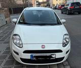 Fiat Punto 1.2 8V - - gebrauchte Fiat Punto aus dem Jahr 2016