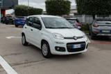 Fiat FIAT Panda 0.9 TwinAir Turbo S&S Easy Dualogic - Fiat Panda mit Benzin-Antrieb: Automatik
