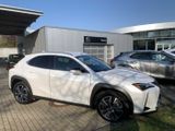 Lexus UX 250h, Style Edition, Safety System, Navi, SHZ - Lexus in Braunschweig