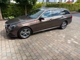 Mercedes-Benz E 220 CDI T AVANTGARDE AVANTGARDE - mit Diesel-Antrieb: Braun, Kombi