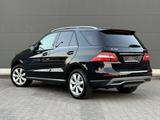 Mercedes-Benz ML 250 CDI BlueTec 4Matic Rkam Schiebedach TOP - Mercedes-Benz ML-Klasse Gebrauchtwagen in Frankfurt