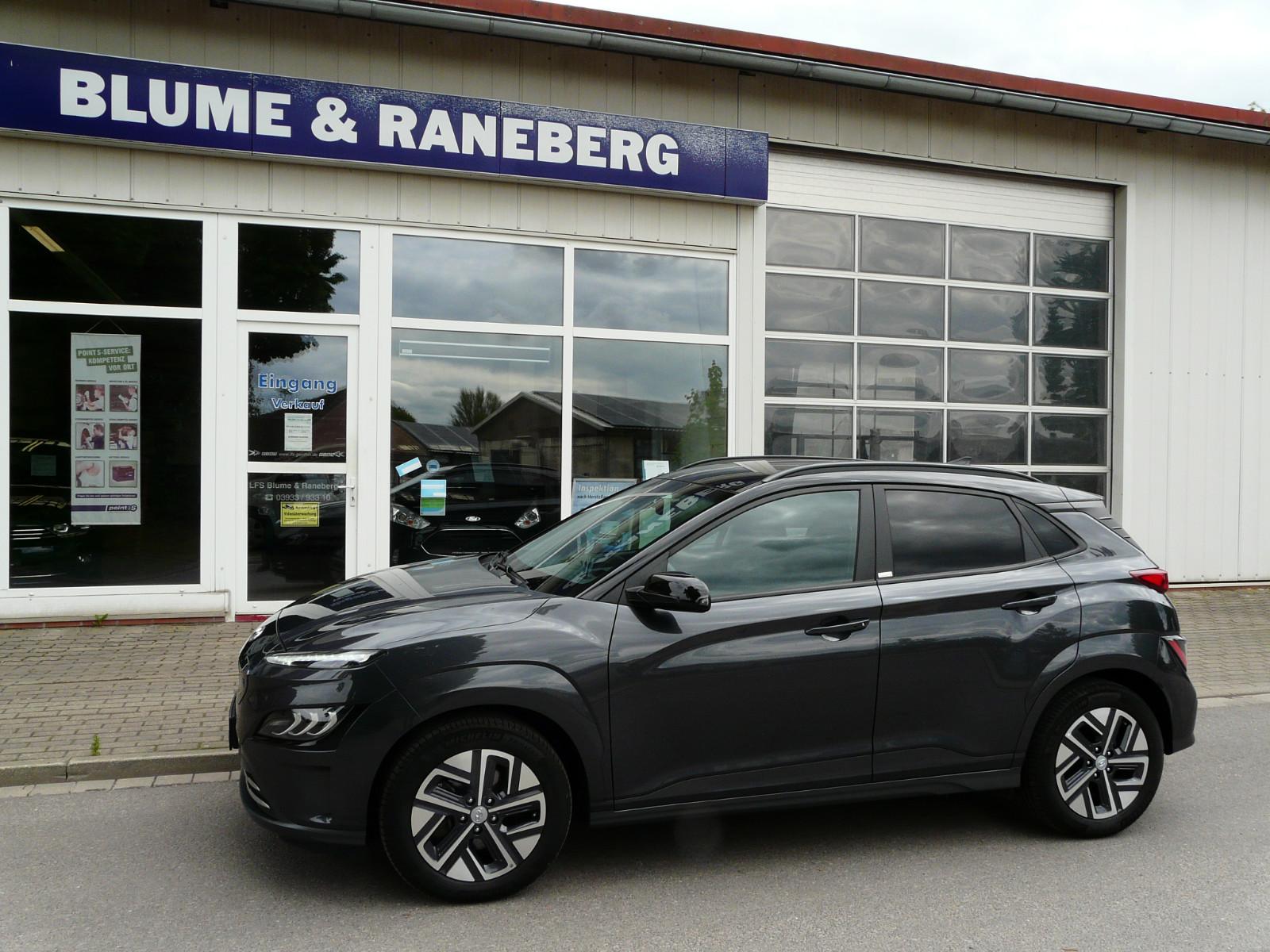 Hyundai Kona Trend Elektro 2WD LED Nav Cam Krell Zertifi