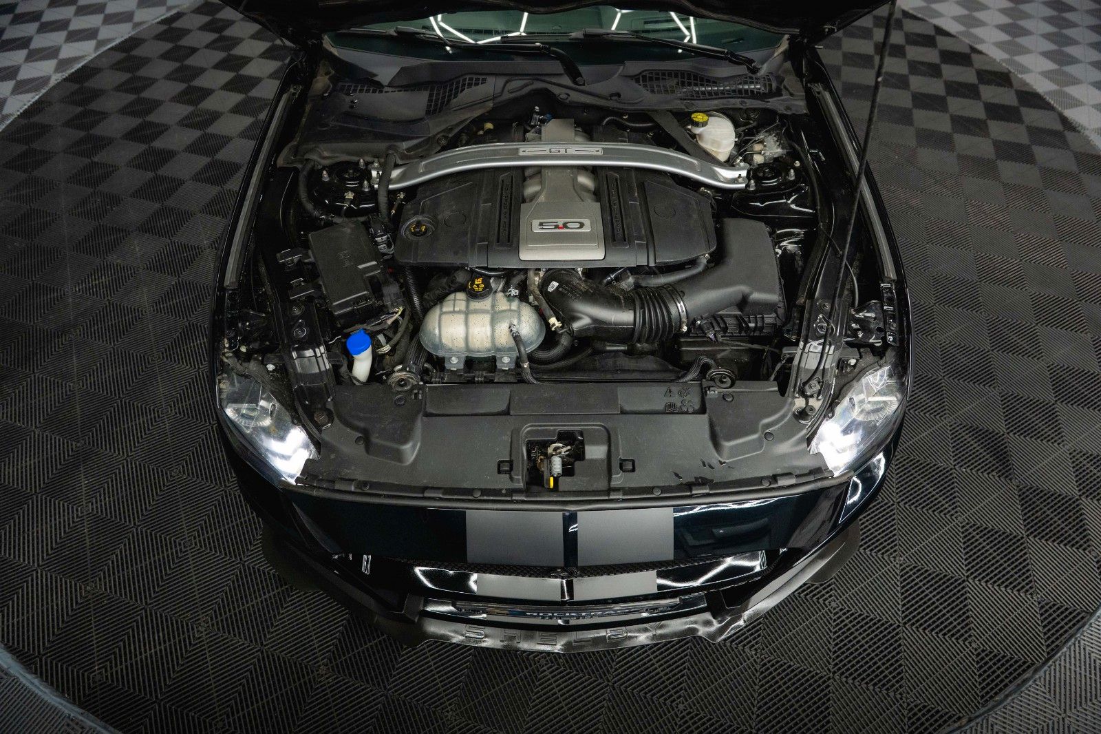 Fahrzeugabbildung Ford Mustang Shelby GT 500 5.0 V8 Performance PREMIUM