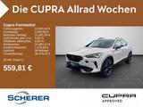 Cupra Formentor VZ 2.0 TSI 4Drive DSG, Rückfahrkamera - Cupra Formentor in Saarbrücken