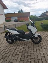 Honda Forza 125  - HONDA HONDA125