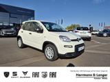 Fiat Panda Pandina Allwetter Klima PDC Radio ++ % Sum - Fiat Panda Gebrauchtwagen in Berlin