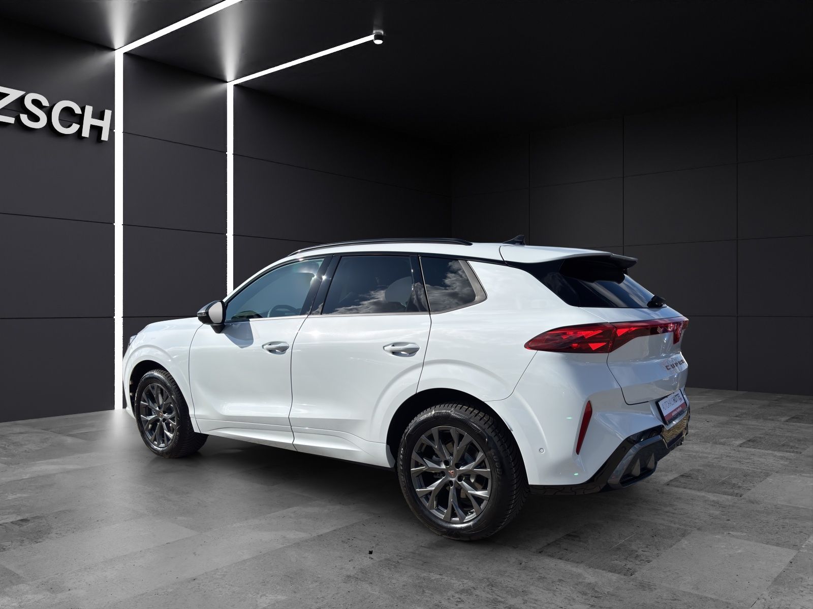 Fahrzeugabbildung CUPRA Terramar 2.0 TSI DSG 4x4 AHZ Matrix LED Pano Key