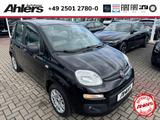 Fiat Panda Easy+1HAND+ZAHNRIEMENNEU+CARPLAY+KLIMA+PDC - gebrauchte Fiat Panda aus dem Jahr 2016