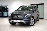Mercedes-Benz ML 350|KAMERA|SCHIEBEDACH|ANHÄNGER|COMAND|SOFT - Mercedes-Benz ML 350 Gebrauchtwagen in Hamburg