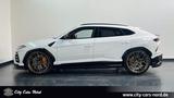 Lamborghini Urus 24 ZOLL-AKRAPOVIC-B&O-360° - Lamborghini Urus Gebrauchtwagen