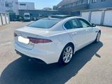 Jaguar XE P250 S LED Matrix Panorama Leder 13.000KM  - Jaguar XE in Essen