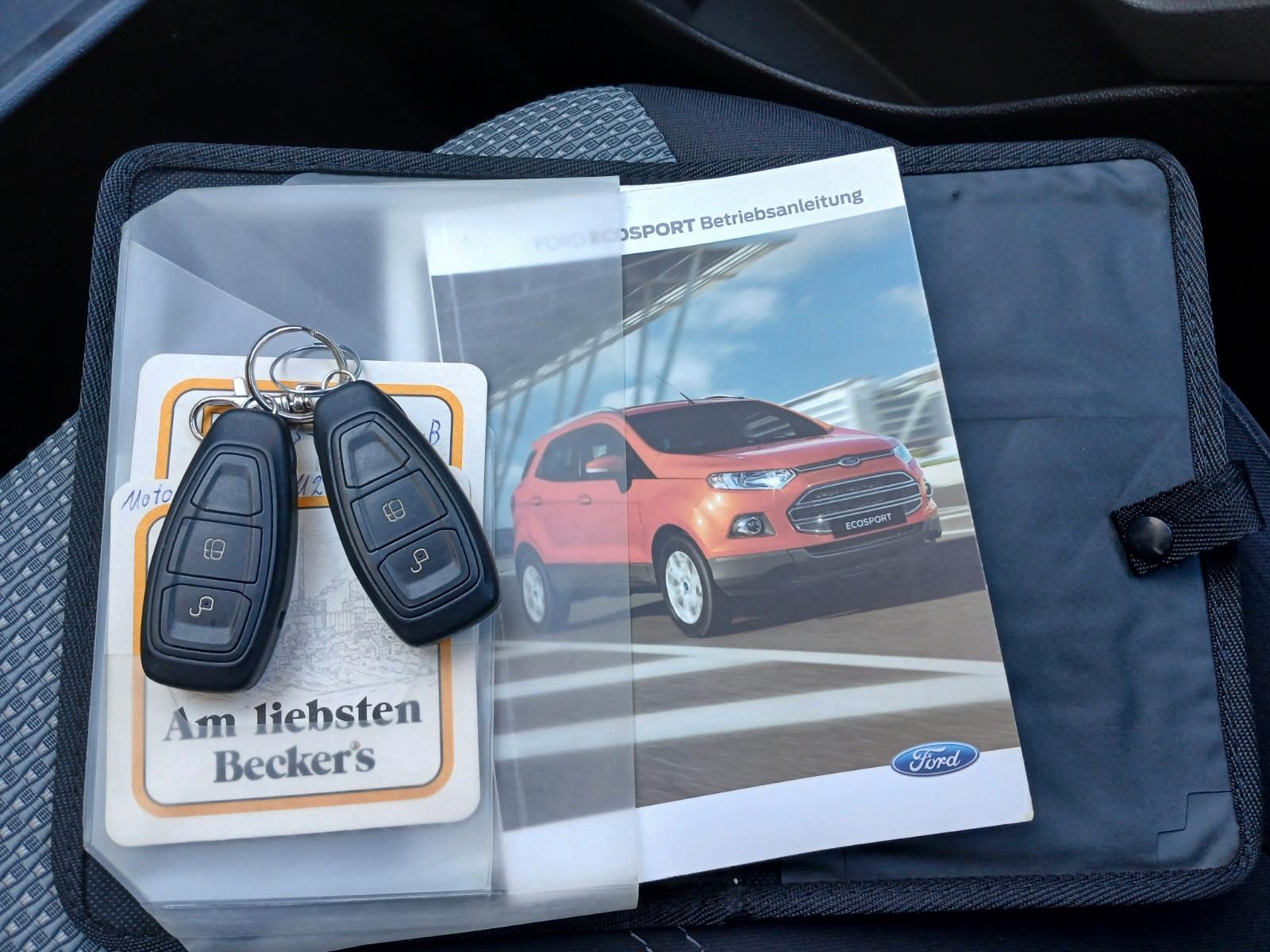 Ford EcoSport 2015 — photo 9