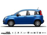 Fiat Panda ICON Hybrid 1.0 GSE KLIMA PDC TEMPOMAT - Fiat Gebrauchtwagen