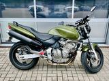 Honda Hornet CB 600 Urban Green - TÜV neu - Offers matching your search criteria