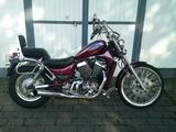 Suzuki VS 800 Intruder *Top gepflegt*Service neu* - SUZUKI VS800