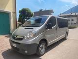 Opel OPEL VIVARO 2.0 CDTI 84kW 9POSTI PASSO LUNGO - gebrauchte Opel Vivaro aus dem Jahr 2007