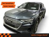 Audi e-tron 50 quattro 71kWh RFK/ACC/LED/Luft/Nav/Pan - graue Audi e-tron