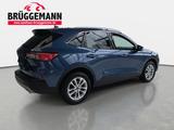 Ford KUGA 2.0 ECOBLUE HYBRID TITANIUM X NAVI LED BO L - Ford Kuga in Rostock