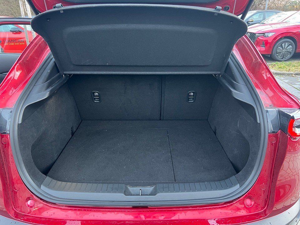 Fahrzeugabbildung Mazda CX-30 X 2.0i 186PS AWD Exclusive DASO