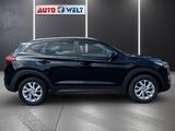 Hyundai TUCSON 1.6 T-GDI Trend 2WD - Hyundai TUCSON: 2wd