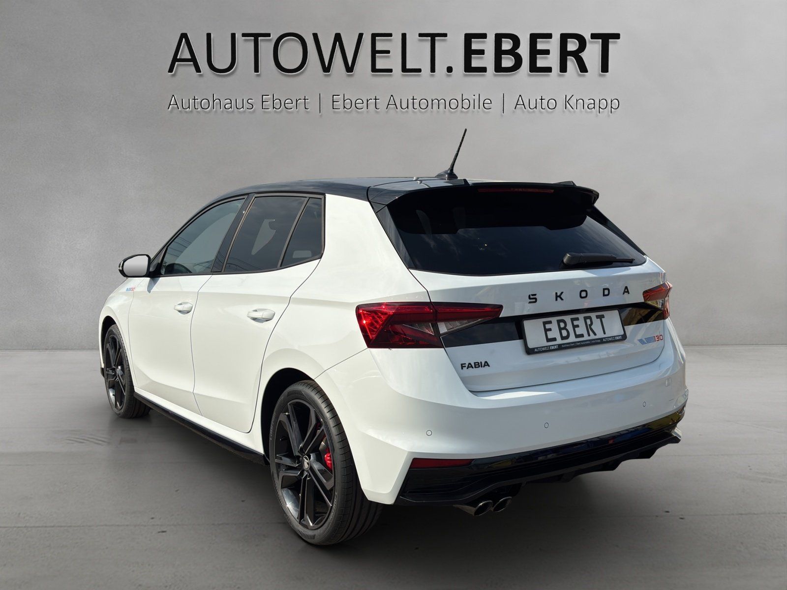 Fahrzeugabbildung SKODA Fabia 130 1,5 TSI 130 kW DSG MATRIX/ACC/RFK/RS
