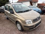 Fiat New Panda 1.2 8V  Dynamic *KLIMA*KEIN ROST* - Fiat New Panda mit Benzin-Antrieb: Limousine, Schaltgetriebe