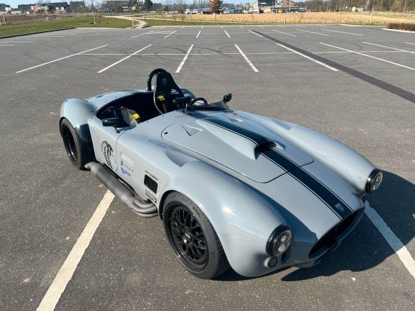 Cobra CN Cobra