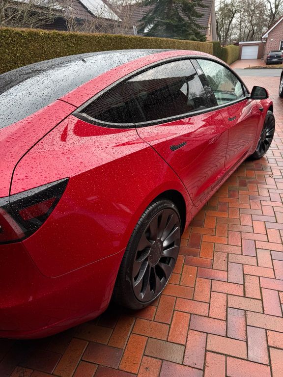 Image of Other Other