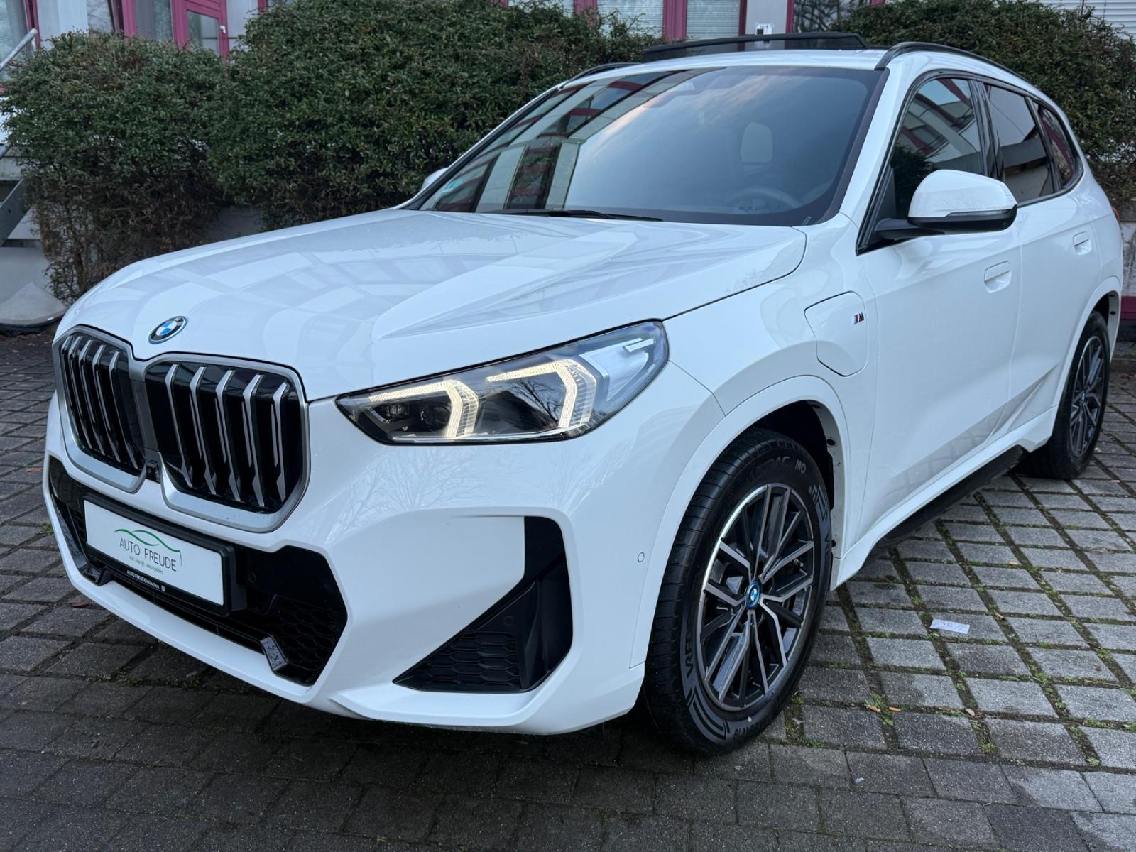 BMW X1 25e xDrive M Sport Leder Wide 360° Kamera H&K