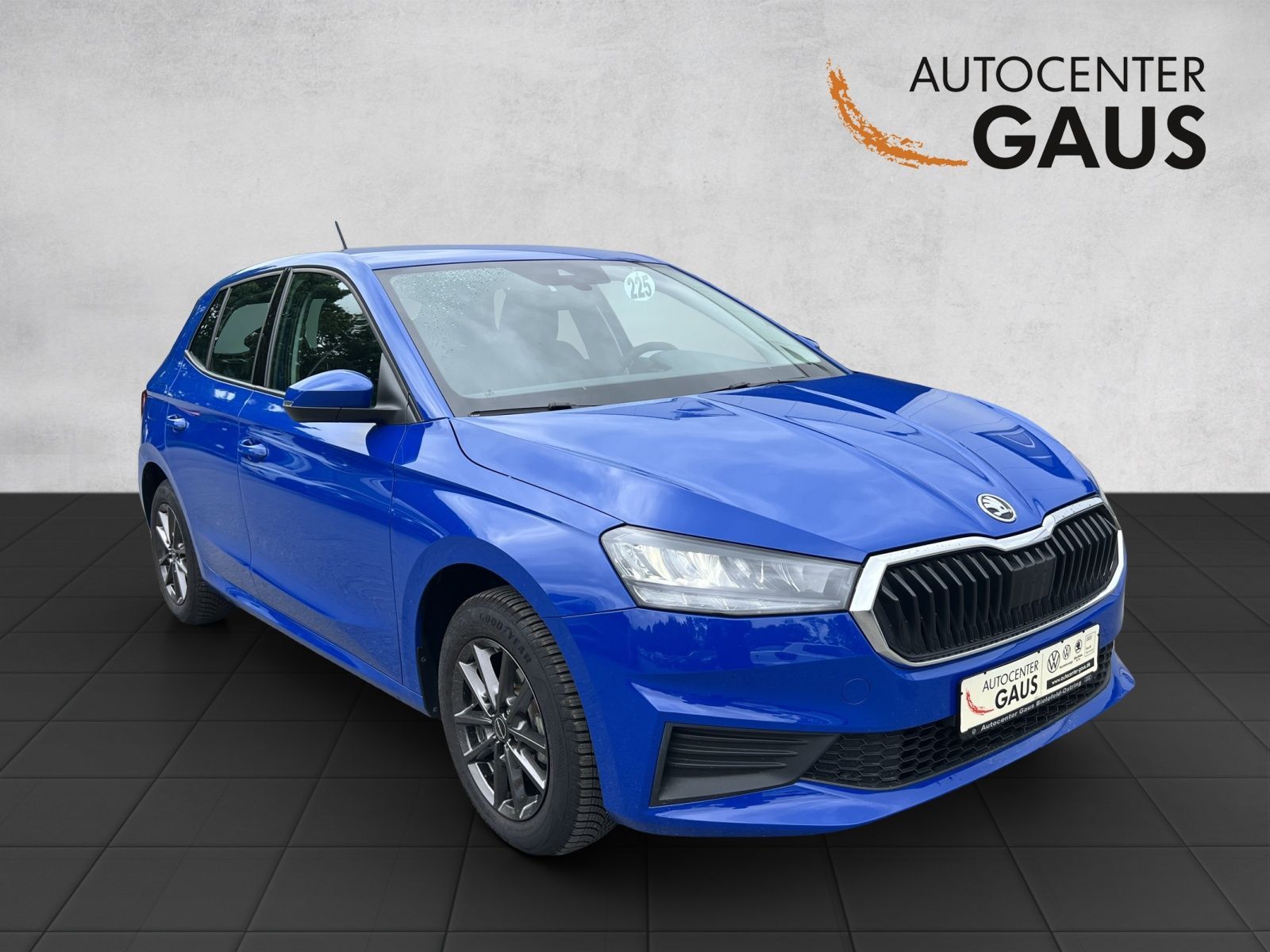 Fabia Active 1.0 MPI LED*Klima*SHZ