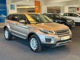 Land Rover Range Rover Evoque Pure*KAMERA*SITZH.*AHK+*TEMPO - Land Rover: Beige